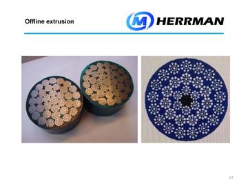 Φ60mm Kablo Ekstrüzyon Hattı
